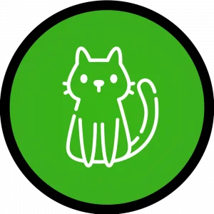 Categoria Gatos